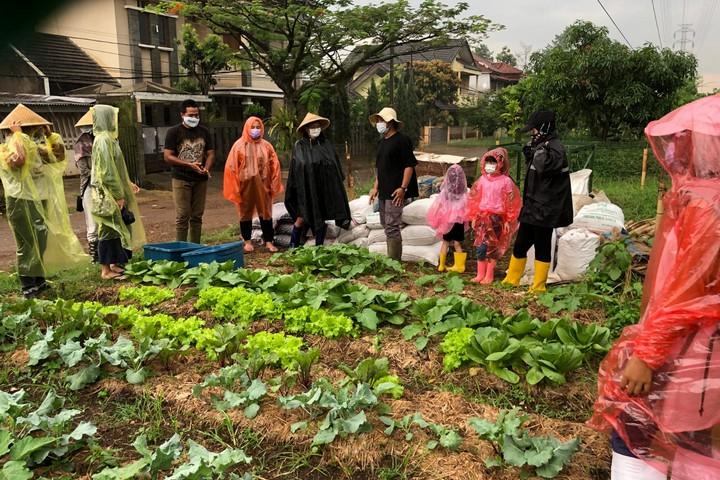 Seni Tani aktif untuk mengedukasi masyarakat mengenai urban farming dan pertanian organik berkelanjutan
